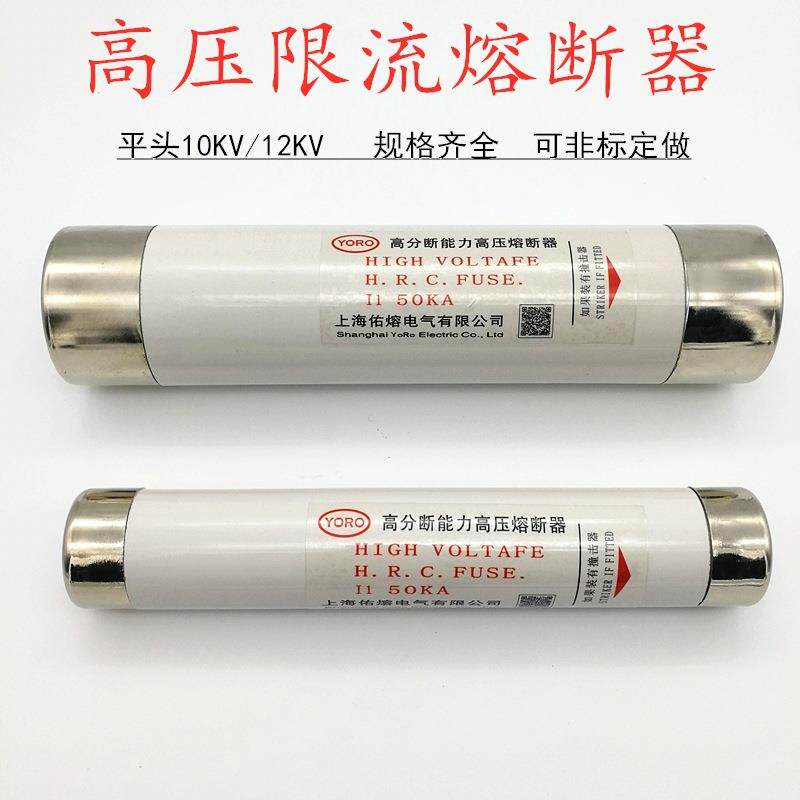 10KV高压熔断器平头XRNT 12KV 63A80A100A125A限流熔丝管直径76mm图片