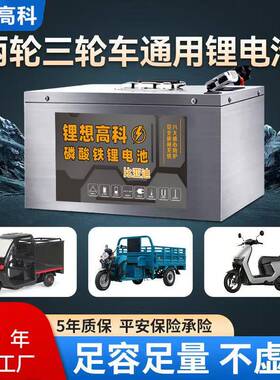 宁德电动车磷酸铁锂电池72v60v48v60ah三四轮三元大容量外送电瓶