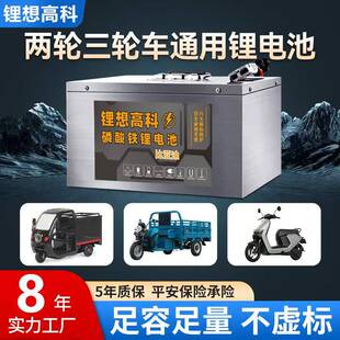 宁德电动车磷酸铁锂电池72v60v48v60ah三四轮三元 大容量外送电瓶
