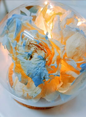 diy玻璃罩软木塞纪念品装饰摆件