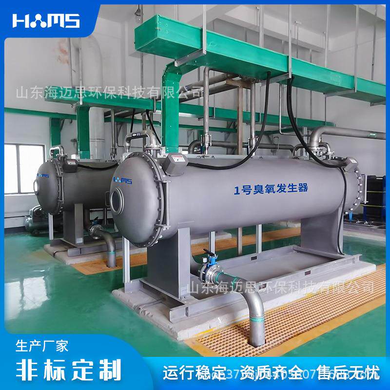智能操控5kg臭氧发生器自来水厂污水厂水处理设备工业臭氧机