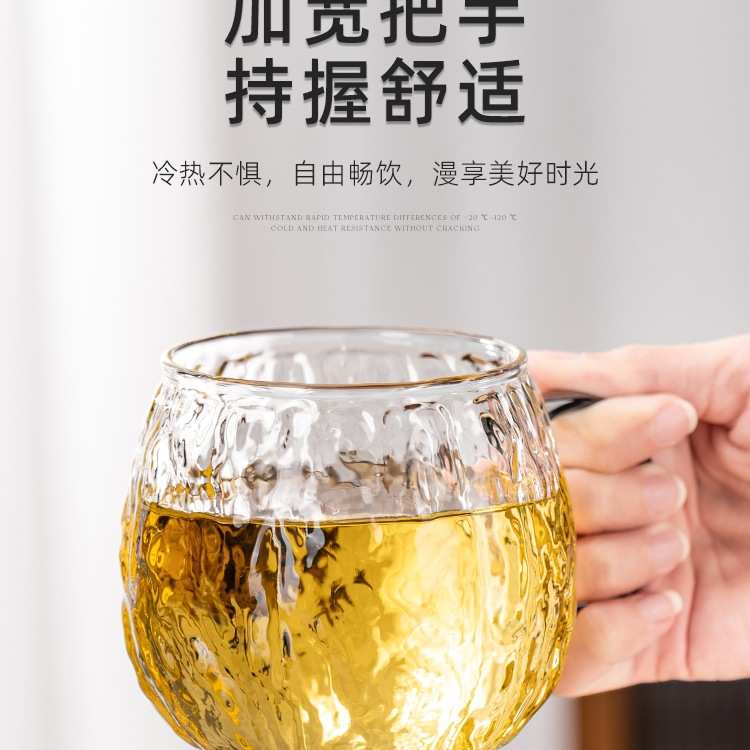 耐高温玻璃喝水杯子套装家用轻奢感待客厅高颜值带把手泡茶具