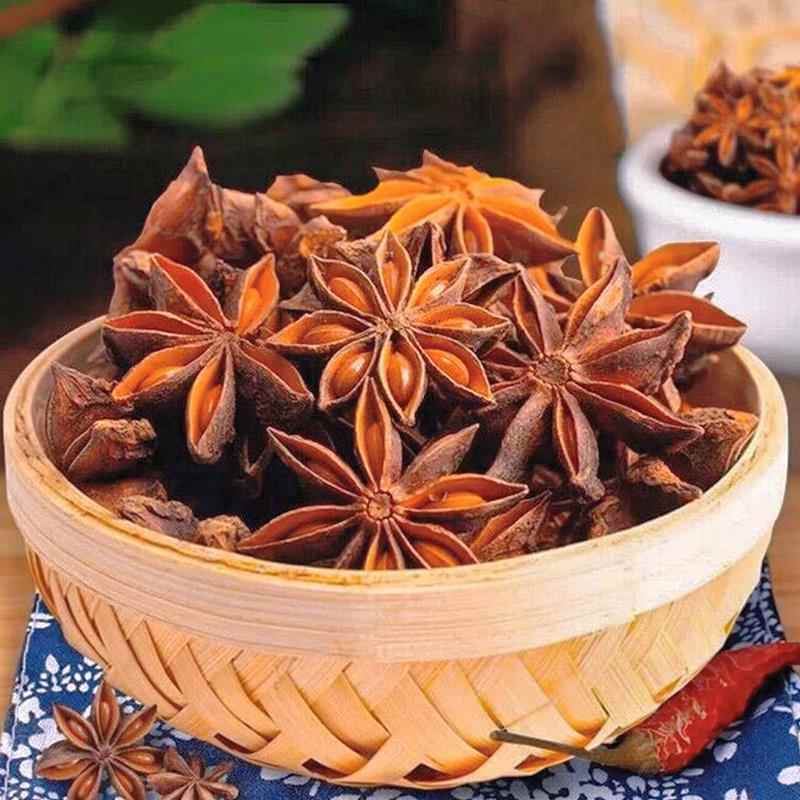 广西藤县古龙大红色八角大料茴香干货特级无硫新货包邮500g卤售桂