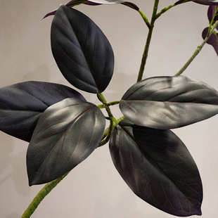 金刚轻树高端室内品仿真绿植大型盆栽奢黑色榕客厅海虹落地高山景