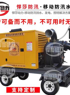 防汛自吸排污泵城市排涝柴油机水泵防汛物资降尘泵高扬程水泵
