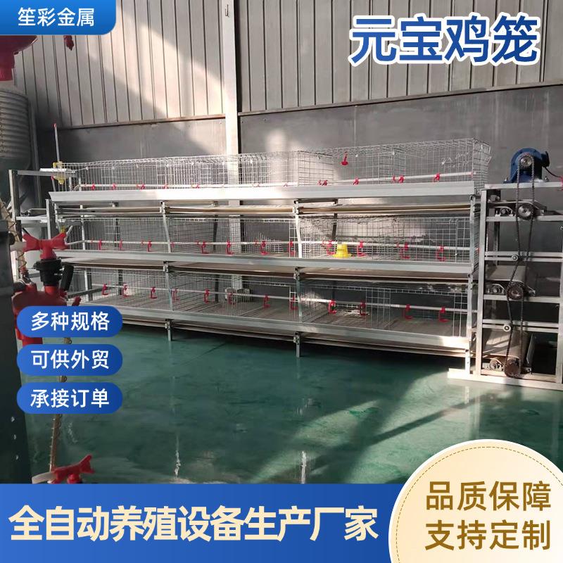 元宝肉鸡笼自动集蛋清粪养殖恒温设备冷镀锌蛋鸡笼立式养鸡设备