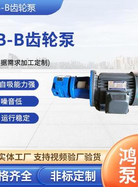 BB-B10/B6/B4/B16/B20/B32N摆线齿轮油泵高压齿轮泵离心电动