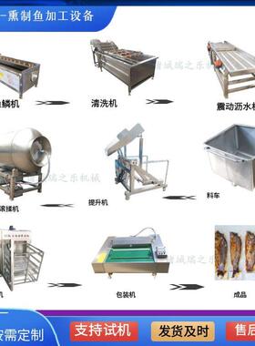 商用三文鱼冷熏炉电加热沙丁鱼烘干机全自动五香鱼糖熏烟熏炉