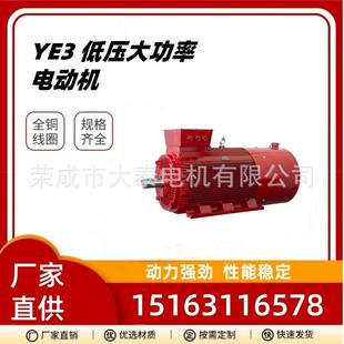 500kw机械设备用马达电机 400 宏宇华宇电机厂家跨境出口专YE3