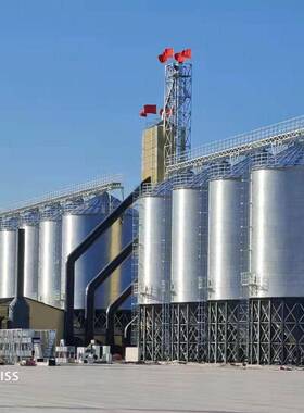 1000吨稻谷立筒仓厂家生产农场用施工快捷n