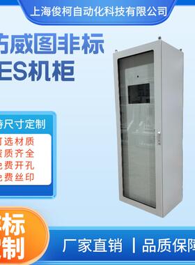 PLC控制柜RAL7035非标双层门外门玻璃视窗ES五折型材仿威图机柜