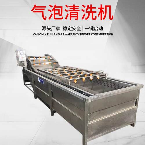 商用水果蔬菜清洗设备旋涡式气泡臭氧洗菜机