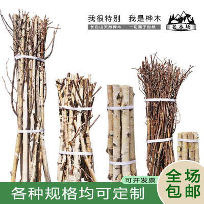 白桦木树枝树干幼儿园diy手工艺环创造景装饰栏杆天然枯树枝木棍