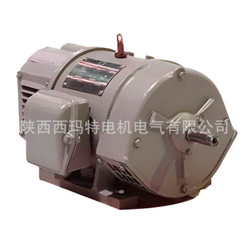 西安泰玛富西电机ZT0P-82-2ZTP-82-22KW0 110V 10R机务段交通用直