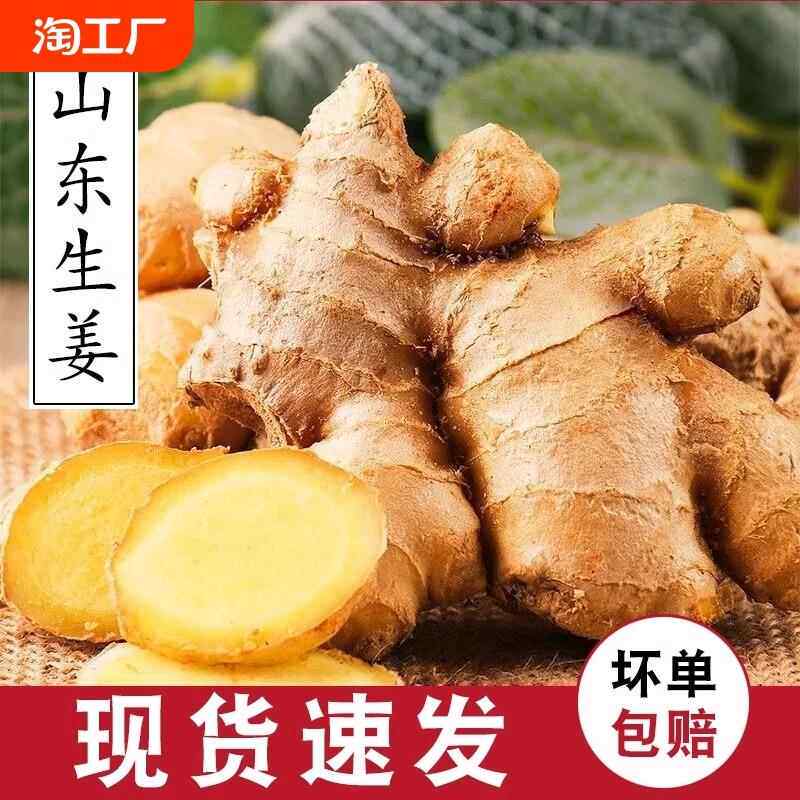 山东风干姜老姜优质生姜月子姜现挖新鲜老黄姜产地直发包邮大黄姜