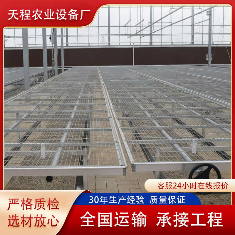 天大棚安平可种植河北果蔬镀锌程网 苗床移动钢管苗床 育温室
