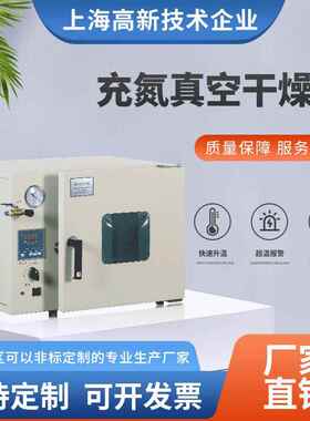 厂家供应非标可定自制VO-6210LC充氮真空干燥箱充氮真空烘箱