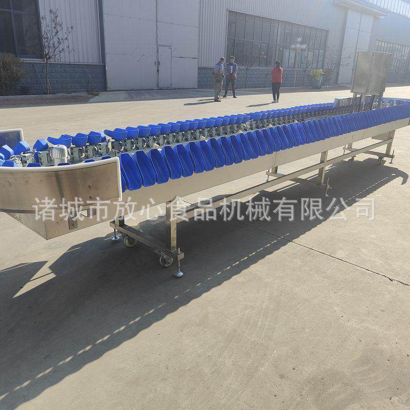 鸡爪 鸡脖 鸡翅称重分选机分选机 海蛎子牡蛎不锈钢重量分选机,清洗/食品/商业设备,其他清洗机,淘宝优惠券,粉丝福利购,淘宝优惠卷