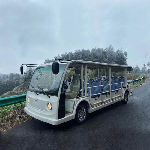 14座个性化卡通电动观光车电动旅游代步车厂家及价格校园接送车