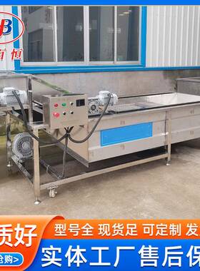 豆制品腐竹高压鼓泡式气泡清洗机商用果蔬清洗机多功能去泥去污