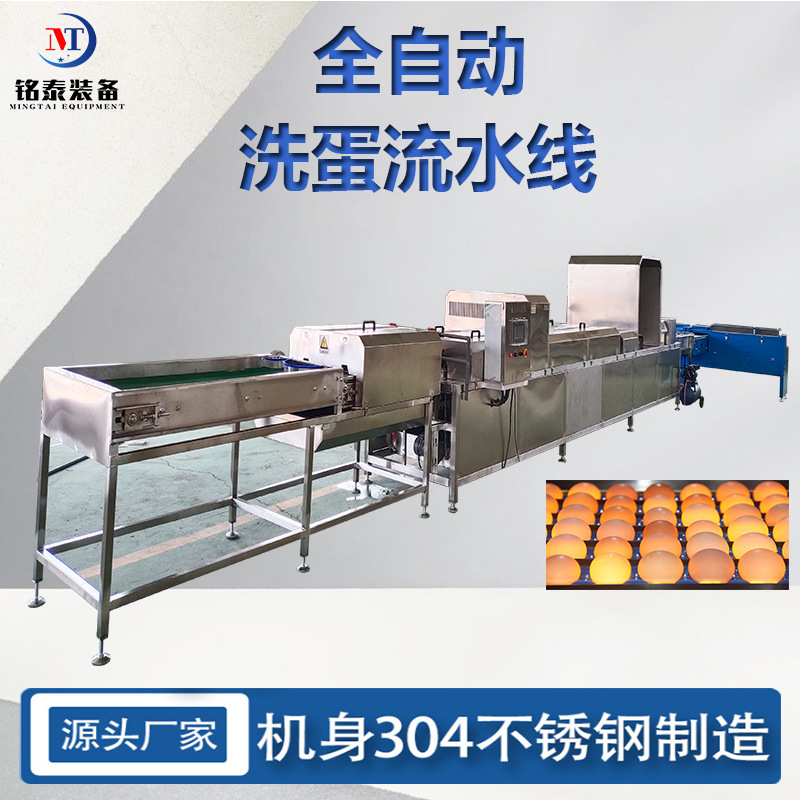 全自动触摸屏洗蛋机 鸭蛋松花蛋清洗粪便设备 新款蛋品分大小机器