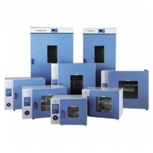 9920A鼓风干燥箱多种规格可选实验室设备 DHG