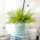 Artificial Real Maidenhair Plants Touch Fern Handmade