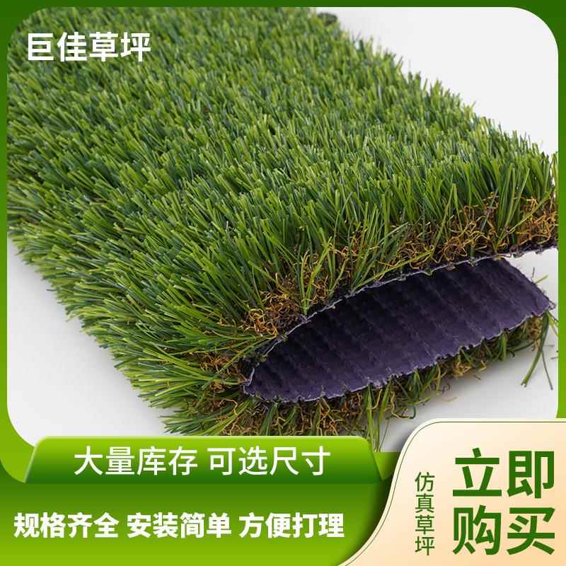 直曲加密免充砂运动紫底人工塑料仿真草皮户外训练操场人造草坪