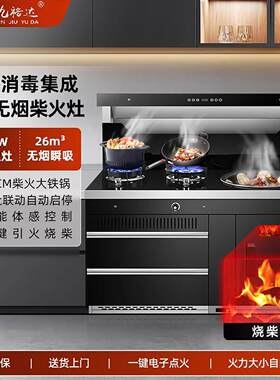 金九裕达农村无烟柴火集成灶多功能一体灶新型柴气两用灶烧柴土灶