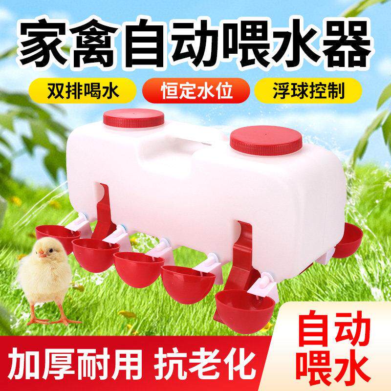 鸡用自动饮水器家禽饮水碗鸽子鹌鹑芦丁鸡小雏鸡喝水碗鸡水壶水桶