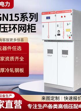 SF6全绝缘充气柜环网柜10kv35kv高压开关柜XGN15固体柜开闭所箱zb