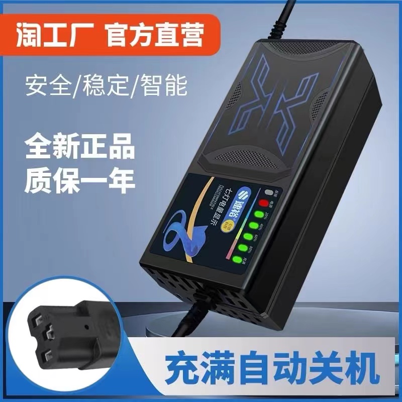 电动车电瓶充电器36伏48V12AH60V72V80v20ah安宗申金彭鹏宝岛三轮