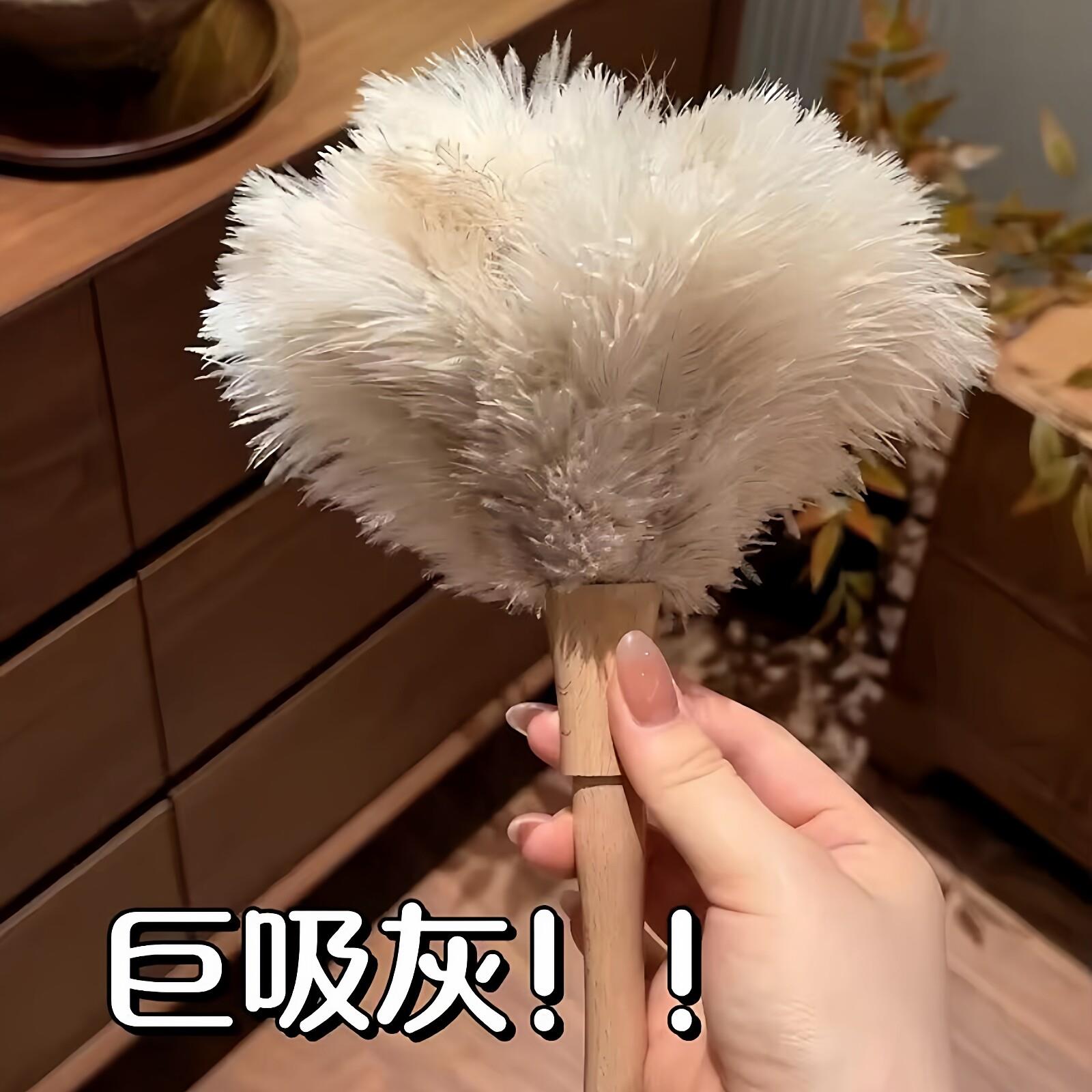 鸵鸟毛除尘掸静电吸附灰尘可家用打扫卫生清扫桌面不掉毛鸡毛掸子