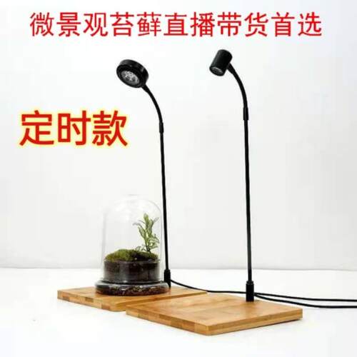 直供竹板灯微景观植物灯观赏鱼缸射灯玻璃瓶苔藓生长补光灯