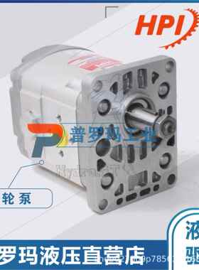 原装法国HPI高压齿轮泵P1BAN3050HL10B03N C5078176国产代替油泵