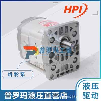 原装法国HPI高压齿轮泵P1BAN3050HL10B03N C5078176国产代替油泵