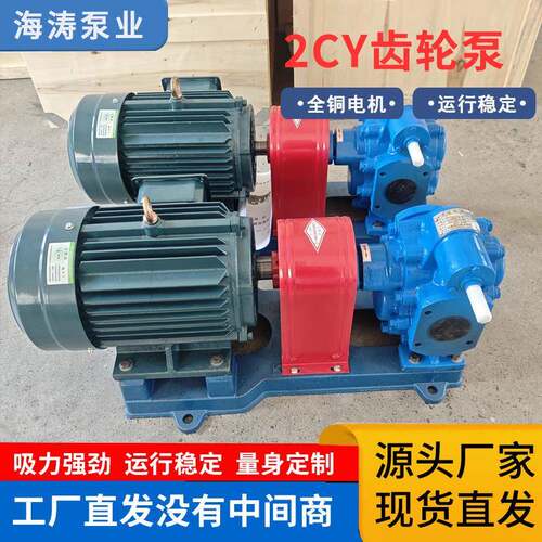 2CY齿轮泵现货大流量不锈钢齿轮油泵铸铁高压力润滑油自吸自吸式