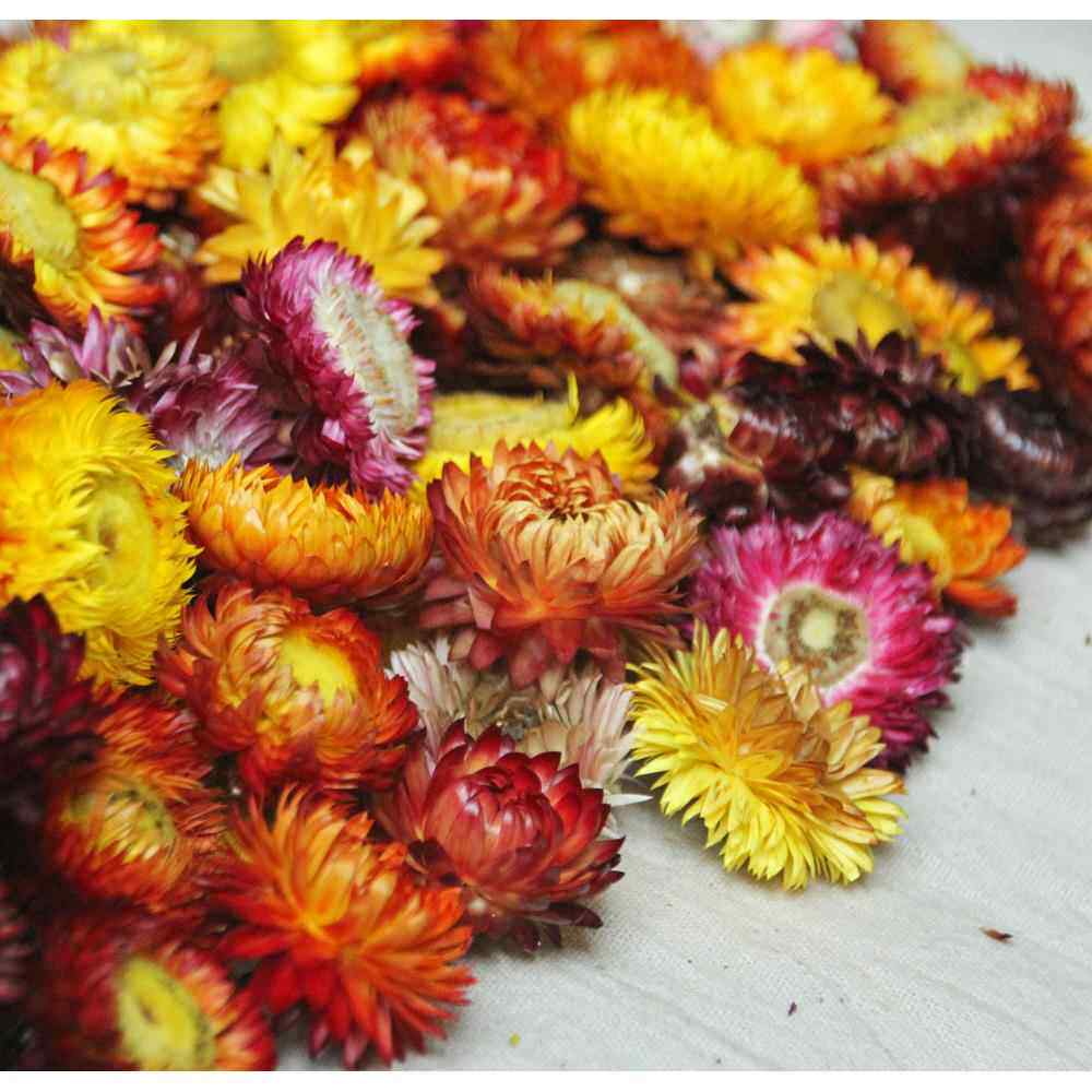 云南干花香薰蜡烛花财七彩菊干燥花麦秆菊花环蜡片装饰家居花