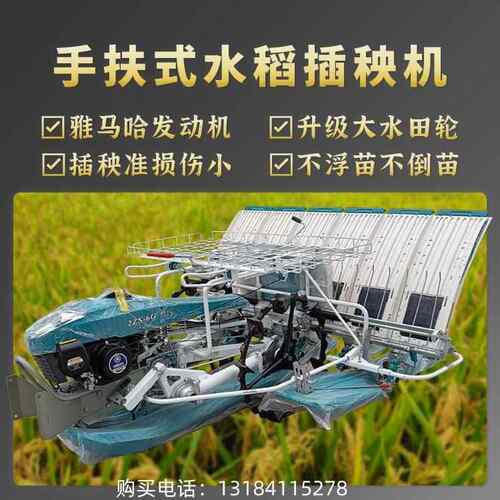 2ZS-4G手扶步进插秧机水稻苗栽秧机小型农用秧苗插植机
