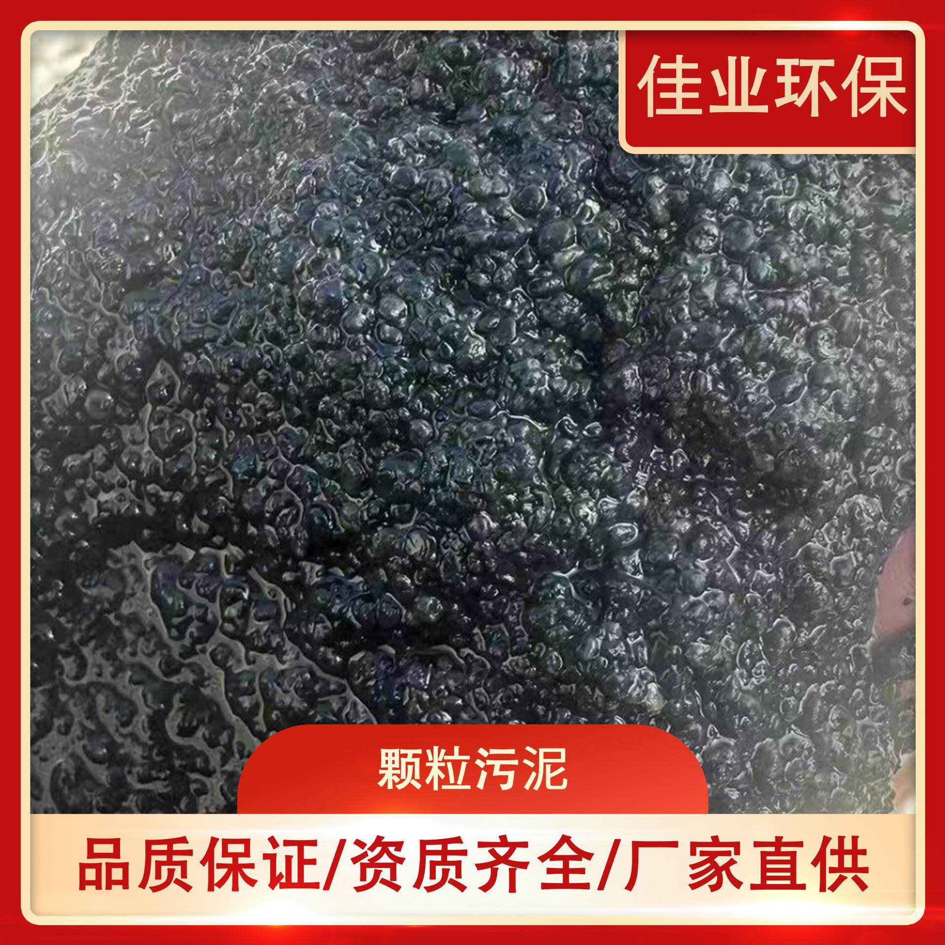 厌氧颗粒污泥活性污泥高浓度废水处理菌种红菌球状颗粒