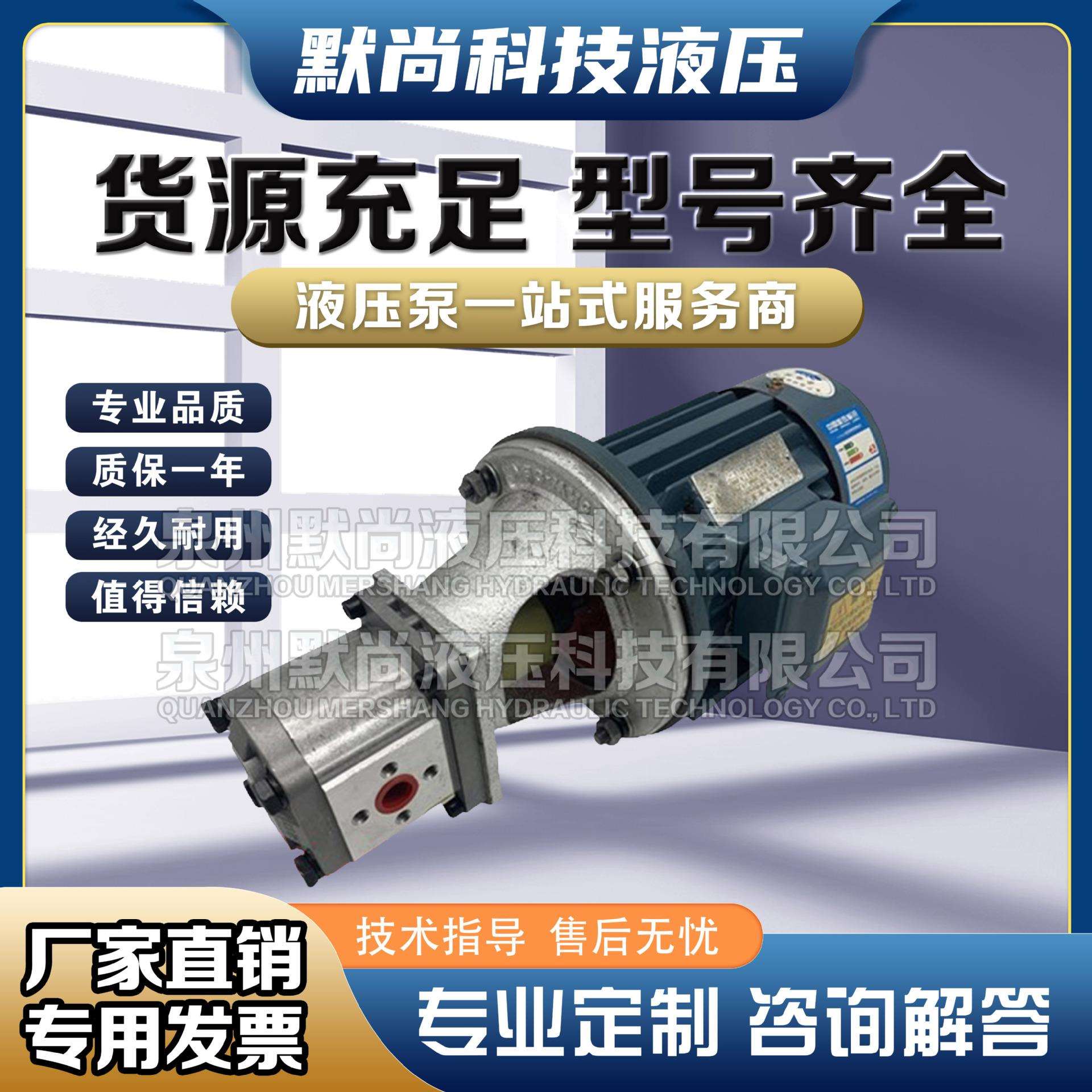液压油泵电机组CBN+1.5KW2.2KW液压泵总成内轴电机液压站配件系统