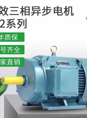工厂供直三相异(步电动机YE4 0.55KW4P0.55千瓦4极)动力全铜电机