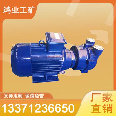 水环式真空泵 无机油耐腐蚀 多种喷漆配色可选 165m³/h水循环