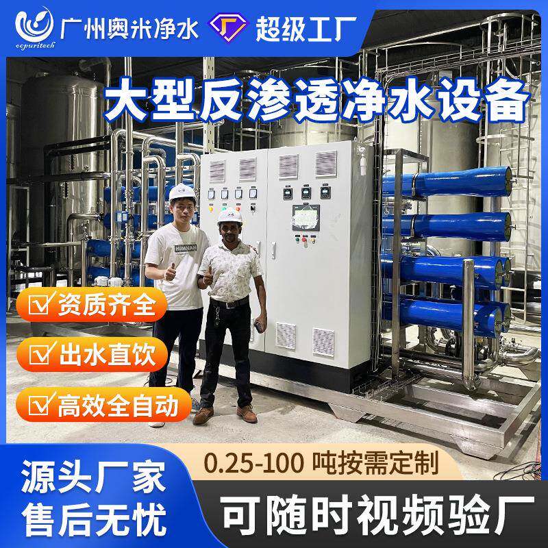30吨大型RO反渗水处理设备工业净水器去离子直饮水机纯水机水软化