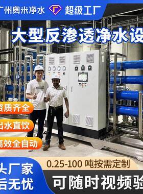 30吨大型RO反渗水处理设备工业净水器去离子直饮水机纯水机水软化