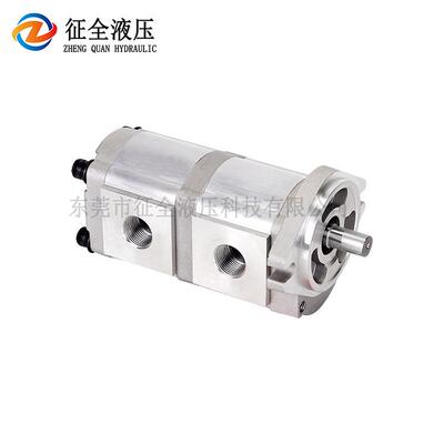 征全HGP-33A-F30/30R双联增压油泵
