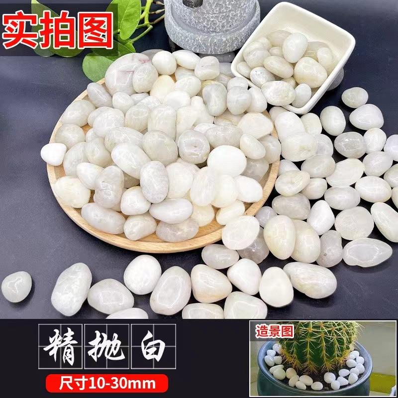 鹅卵石雨花石小石子园艺用品套装