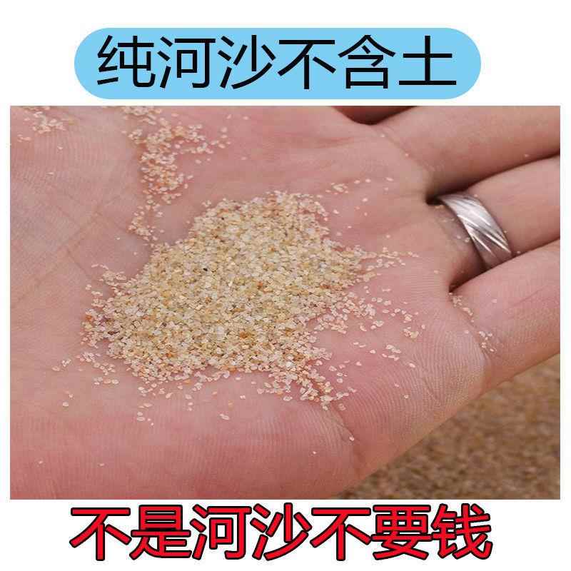 河沙细沙种花沙子鱼缸底砂水族造景乌龟冬眠多肉铺面沙子