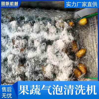 生气姜高压喷淋清洗设备洗毛肚 泡翻滚洗菜果机 蔬海鲜KFX气泡清