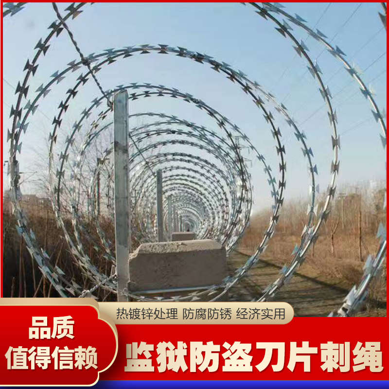 绳不锈钢304刺丝刺刺网围网刺网刺绳绳腹蛇热镀锌防盗刀片监狱